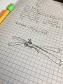 FLL_10-1-2016 (2)